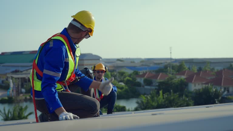 Best Roof Moss and Algae Removal  in New River, AZ